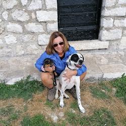 Ambulatorio Veterinario Iacometta, Roma orari di apertura