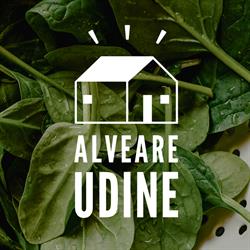 Alveare Udine, orari di apertura