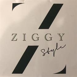 Ziggy Style, Castelvetro di Modena orari di apertura