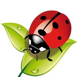 The Ladybug Holiday House, Siracusa orari di apertura