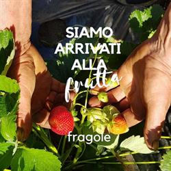Siamo Arrivati Alla Frutta, Montoro Inferiore orari di apertura