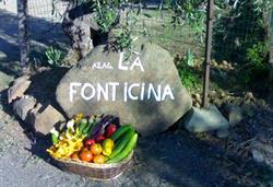 Azienda agricola la fonticina, San Casciano in Val di Pesa orari di apertura
