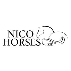 NICO Horses, Soncino orari di apertura