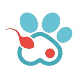 PoliambulatorioVet - Centro Veterinario Polispecialistico, San Nicola la Strada orari di apertura