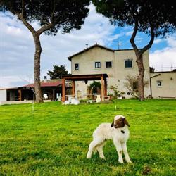 Il casale delle ragazze, Roma orari di apertura
