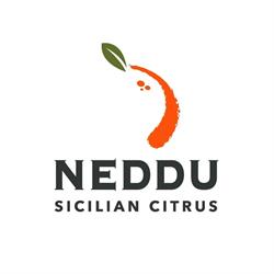 Neddu - Sicilian Citrus, Paternò orari di apertura