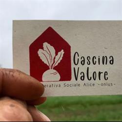 Cascina Valore - Agricoltura Biologica e Orto Sociale, Alba orari di apertura