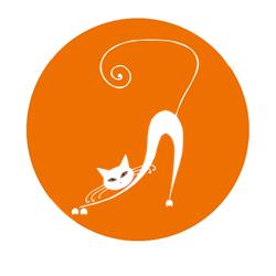 BISTROT i'Gatto Bianco, Firenze orari di apertura
