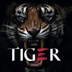 ASD TIGER karate team, Sarzana orari di apertura