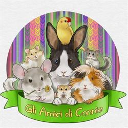 Gli Amici dí Connie, Sant'Agata sul Santerno orari di apertura