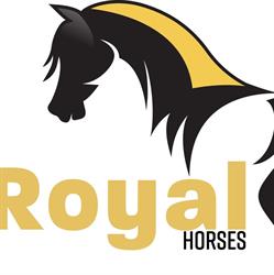 Royal Horses, San Pietro In Vincoli orari di apertura
