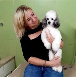 Daria Grooming salon & Toelettatura SPA, Roma orari di apertura