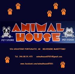 Animal House, Belvedere Marittimo orari di apertura