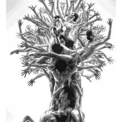 Lydia D'Auria Psicologa, Caserta orari di apertura