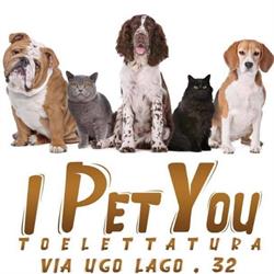 I Pet You, Noto orari di apertura