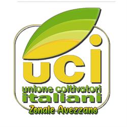 Caf Patronato UCI - ENAC Zonale Avezzano - Servizi Fiscali e Consulenze legali, orari di apertura