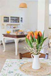 Agriturismo Torsivì, Castiglione Chiavarese orari di apertura