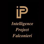 Intelligence Project Falconieri, Lecce orari di apertura
