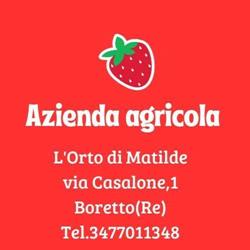 Az. Agricola L'orto di Matilde, Boretto orari di apertura
