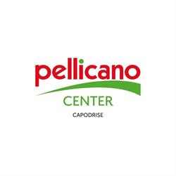 Pellicano Center Capodrise, orari di apertura