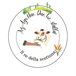 Az. Agr. Uno, Due, Tre, Stalla, Colmurano orari di apertura