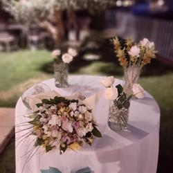 Figlia del fiore, Gravina in Puglia orari di apertura