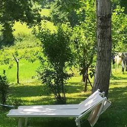 La Quagnola Casa Vacanze, Polinago orari di apertura