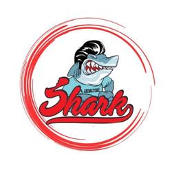 Ludoteca Shark, Roma orari di apertura