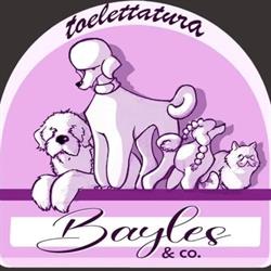 Bayles & co., San Biagio di Callalta orari di apertura