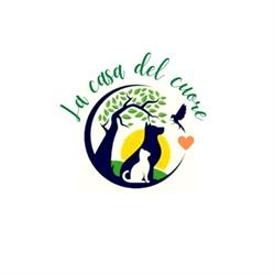 Ambulatorio Veterinario Olistico Dott.ssa Elena Maria Caleca, Torino orari di apertura