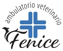 Ambulatorio Veterinario Fenice, Borgo San Lorenzo orari di apertura