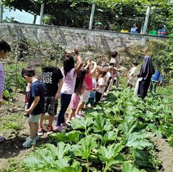 Istituto Divino Amore - Scuola dell'Infanzia Paritaria, Bracciano orari di apertura