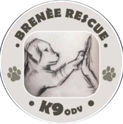 Brenèe Rescue k9 ODV, Montegridolfo orari di apertura