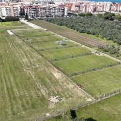 DOG'S LAND-Bisceglie, orari di apertura
