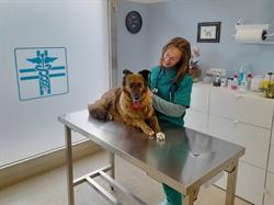 Ambulatorio Veterinario Dr.ssa Anna Mattioli, Vignola orari di apertura