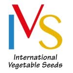 IVS Italia, Latina orari di apertura