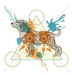 Centro Cinofilo Evolution Dog asd Quarto, orari di apertura