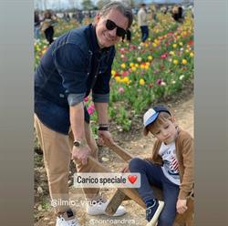 Il mio VINO da Denis, Casale sul Sile orari di apertura