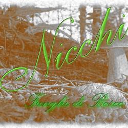 Nicchi funghi di bosco snc, Anghiari orari di apertura