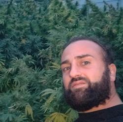 Legal Joint - Canapa del Principato, Prata di Principato Ultra orari di apertura
