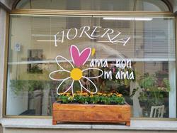 Fioreria m'ama non m'ama, Mongrando orari di apertura