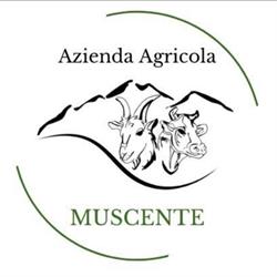 Azienda Agricola Muscente, Palena orari di apertura
