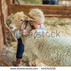 Agrizoo casa, Ottana orari di apertura