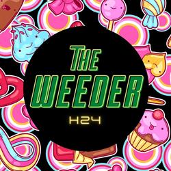 The Weeder H24, Martina Franca orari di apertura