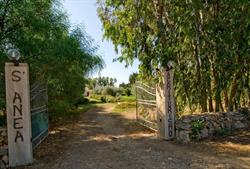 Agriturismo S'Anea, Riola Sardo orari di apertura