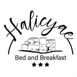 Halicyae, Salemi orari di apertura