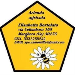 Azienda agricola Bortolato Elisabetta, Marghera orari di apertura