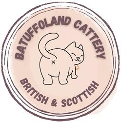 Batuffoland British&Scottish Cattery, Anzio orari di apertura