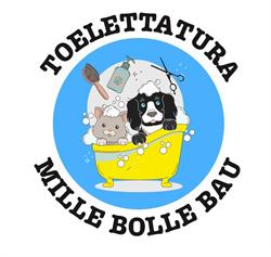 Mille Bolle Bau Cervignano, Cervignano del Friuli orari di apertura