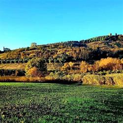 az._agr._la_vaccareccia, Monterappoli orari di apertura